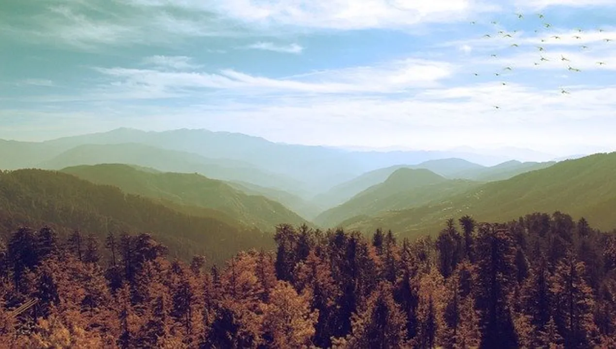  Climate change hotspots map indicate maximum vulnerability for Himalayan forests