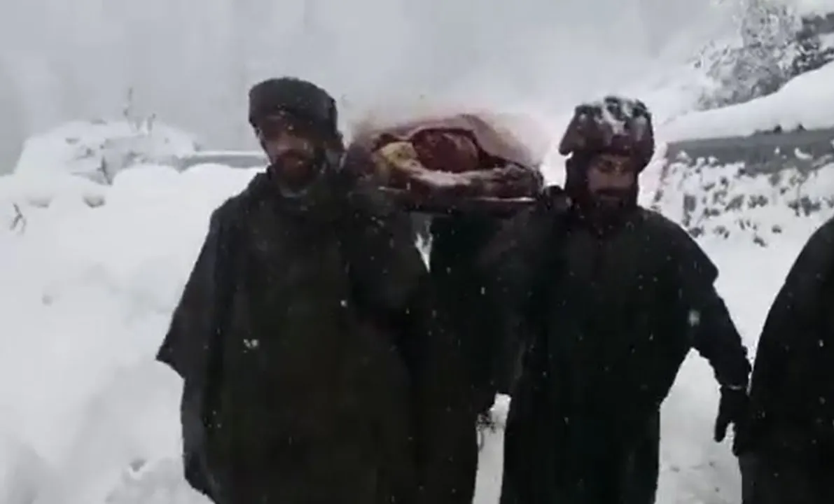  Watch: Indian Army personnel evacuate pregnant woman during heavy snowfall, video goes viral