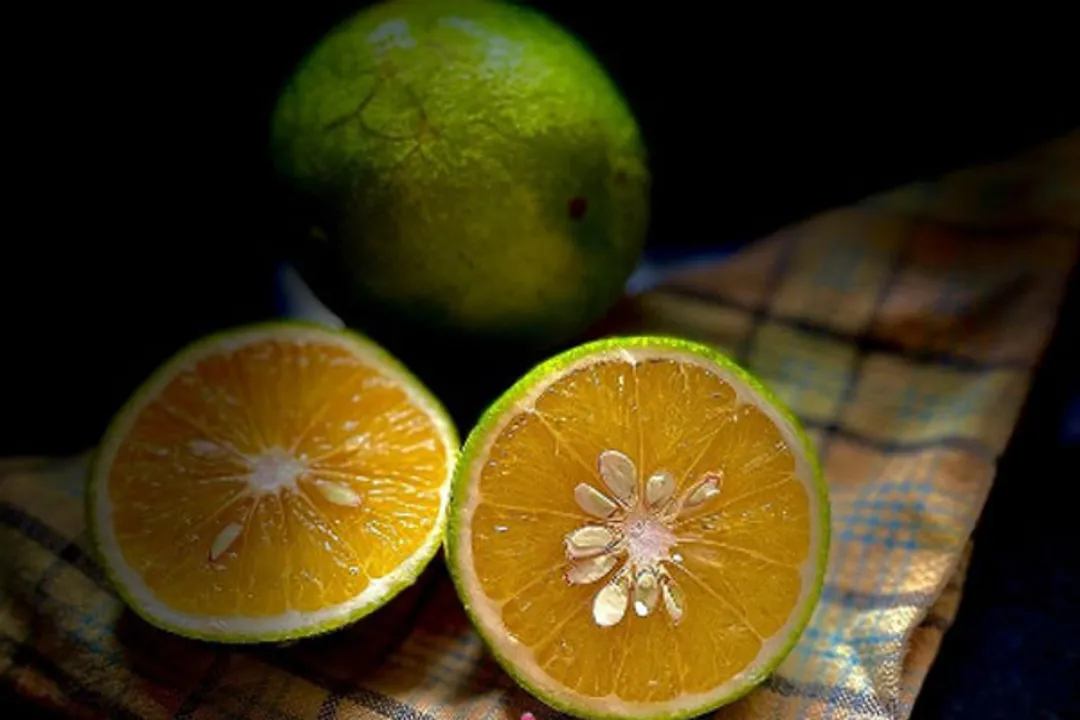  Mosambi peels could prevent cancer: BHU study