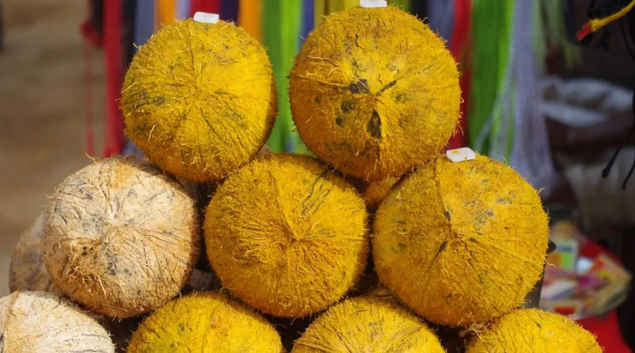  Pongal 2022 Date: Know Bhogi, Mattu Pongal, Kaanum Pongal dates