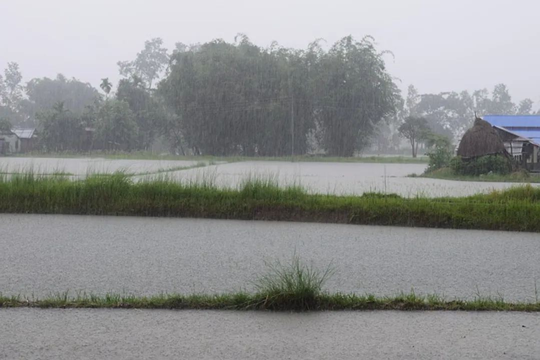  Rain continues in Odisha; alert issued for more districts during next 4 days
