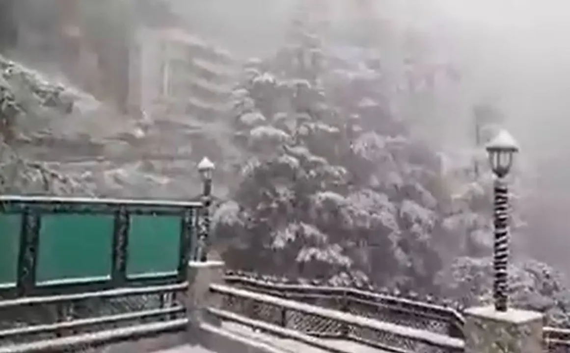  Watch: Shimla receives season's first snowfall, tourists rejoice