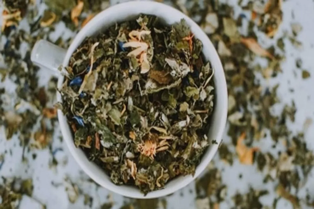  These herbs are most effective in Cancer prevention