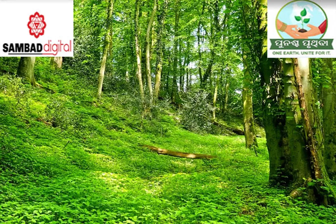  India has no plan to change 'forest cover' definition