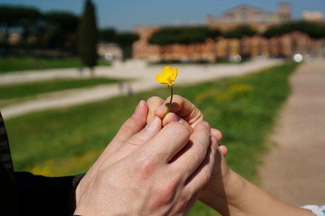  Happy Promise Day Wishes, Quotes and Messages for beloved