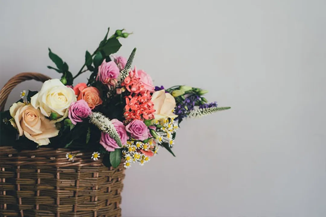  Happy Rose Day Wishes, Messages, WhatsApp status to greet your loved ones