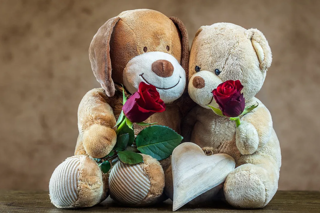  Happy Teddy Day Wishes, Quotes and Messages to Greet Your Beloved
