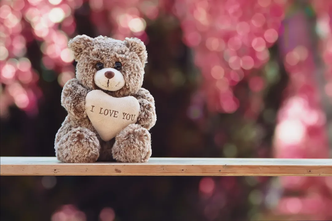  Happy Teddy Day Wishes, Quotes and Messages to share with your beloved