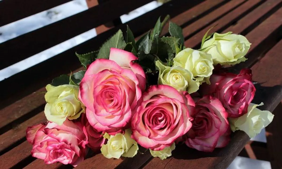  Happy Valentine Day Wishes, Quotes, Messages to greet your lover