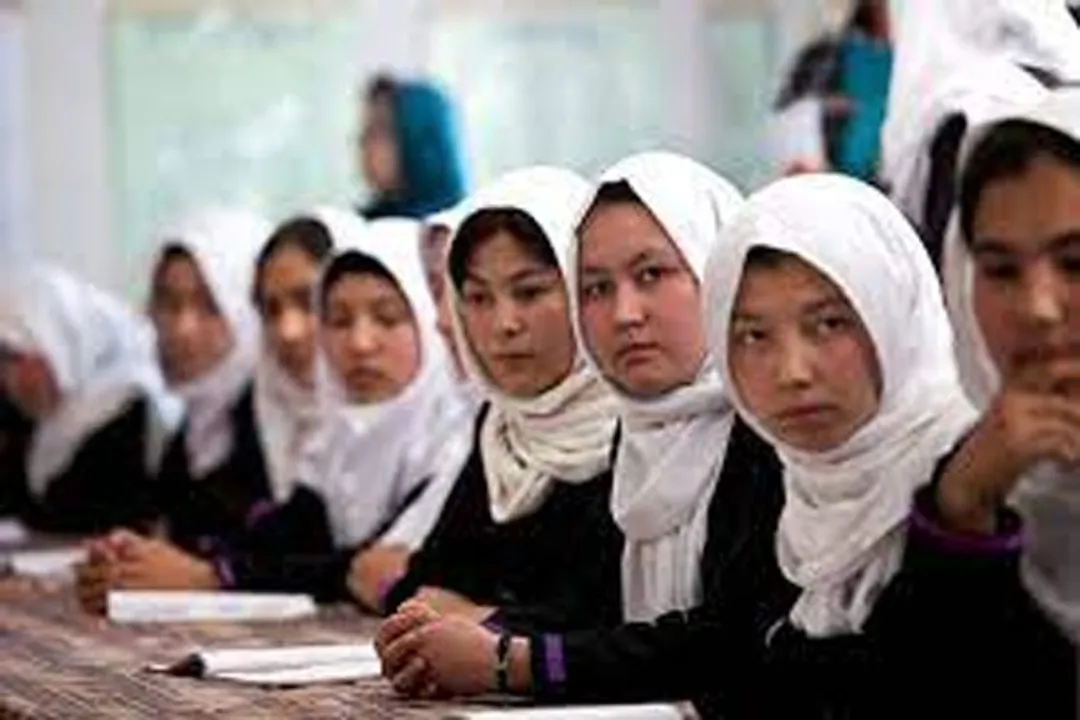  Pic Courtesy: afghanistantimes.af 
