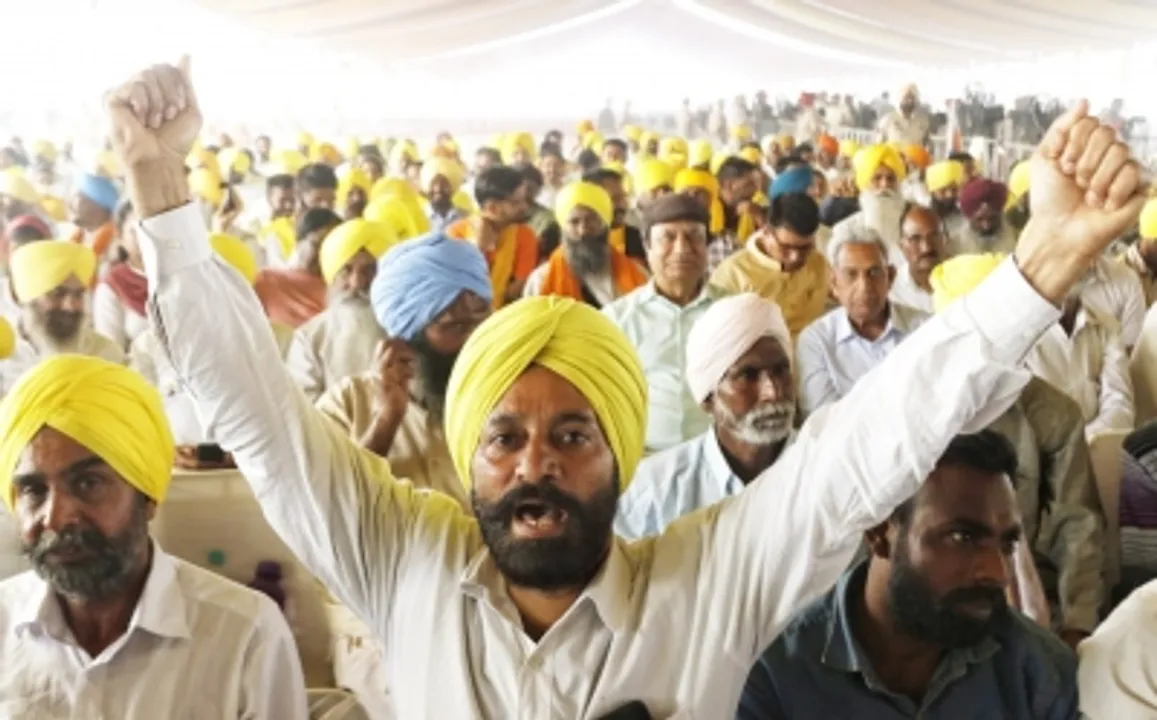  Donning traditional 'basanti' turbans, thousands head for Bhagwant Mann's oath