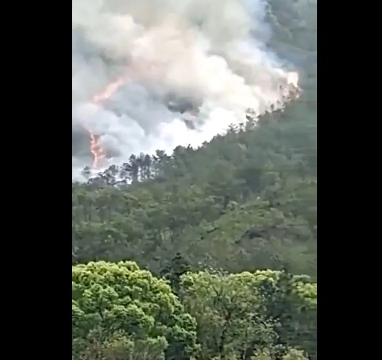  Plane carrying 133 passengers on board crashes in China