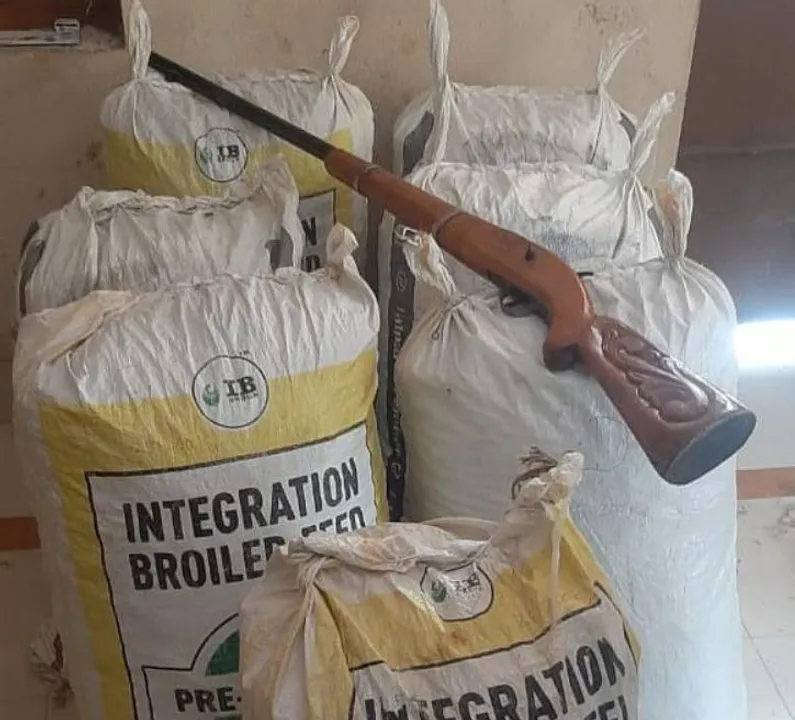  SBI staff among two arrested for smuggling ganja in Odisha; Gun seized