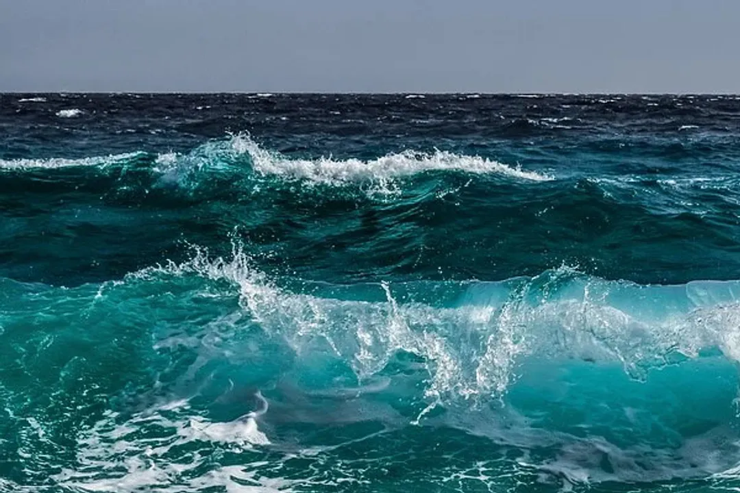  Contamination levels in North Sea declined significantly since 1980s