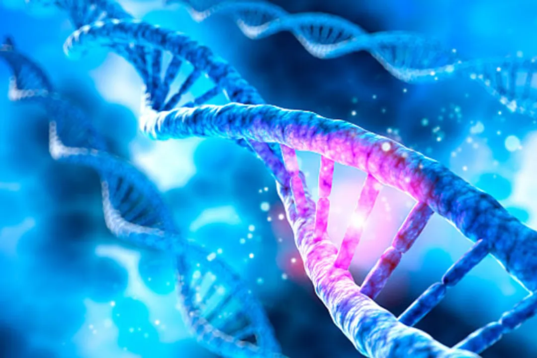  Why we age? Here's what genetic mutations study says