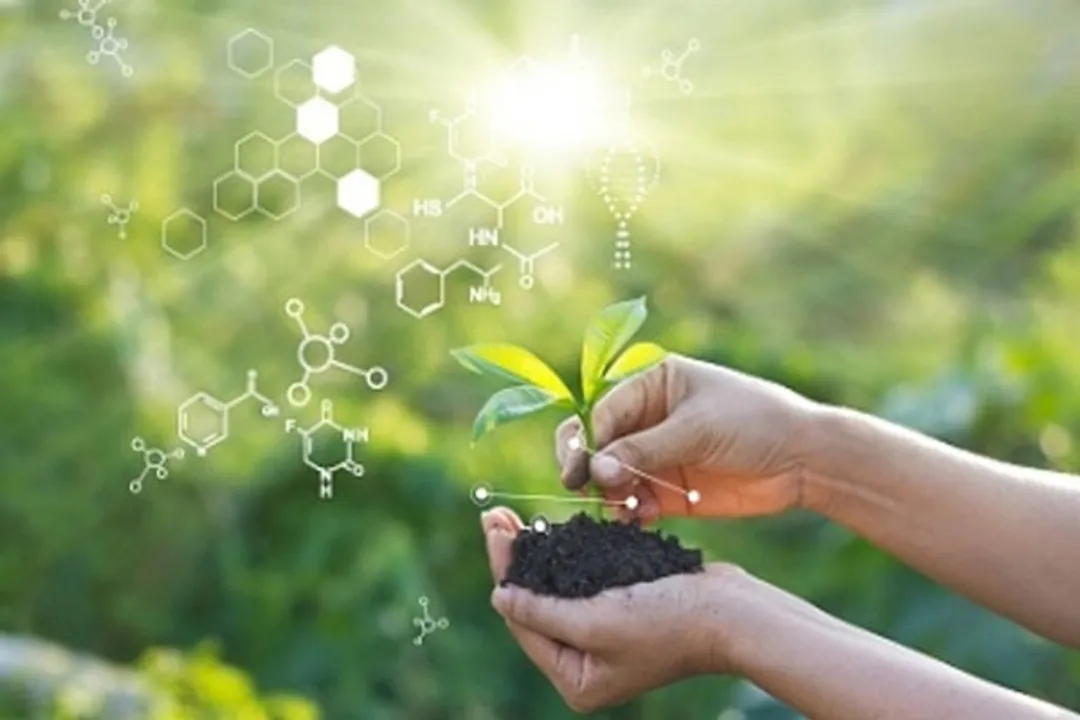  Global body meeting to set plant health standards