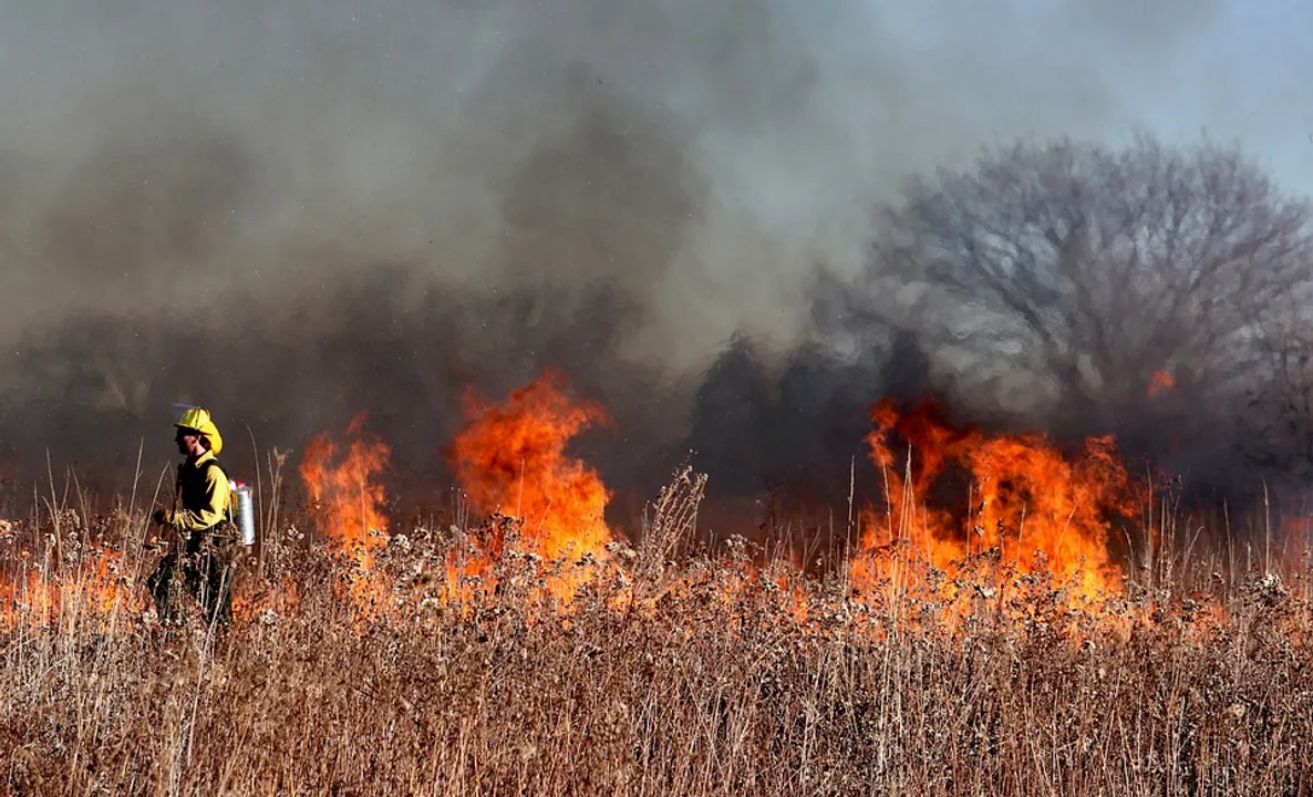  Wildfire burns 521 hectares of woodland near inter-Korean border