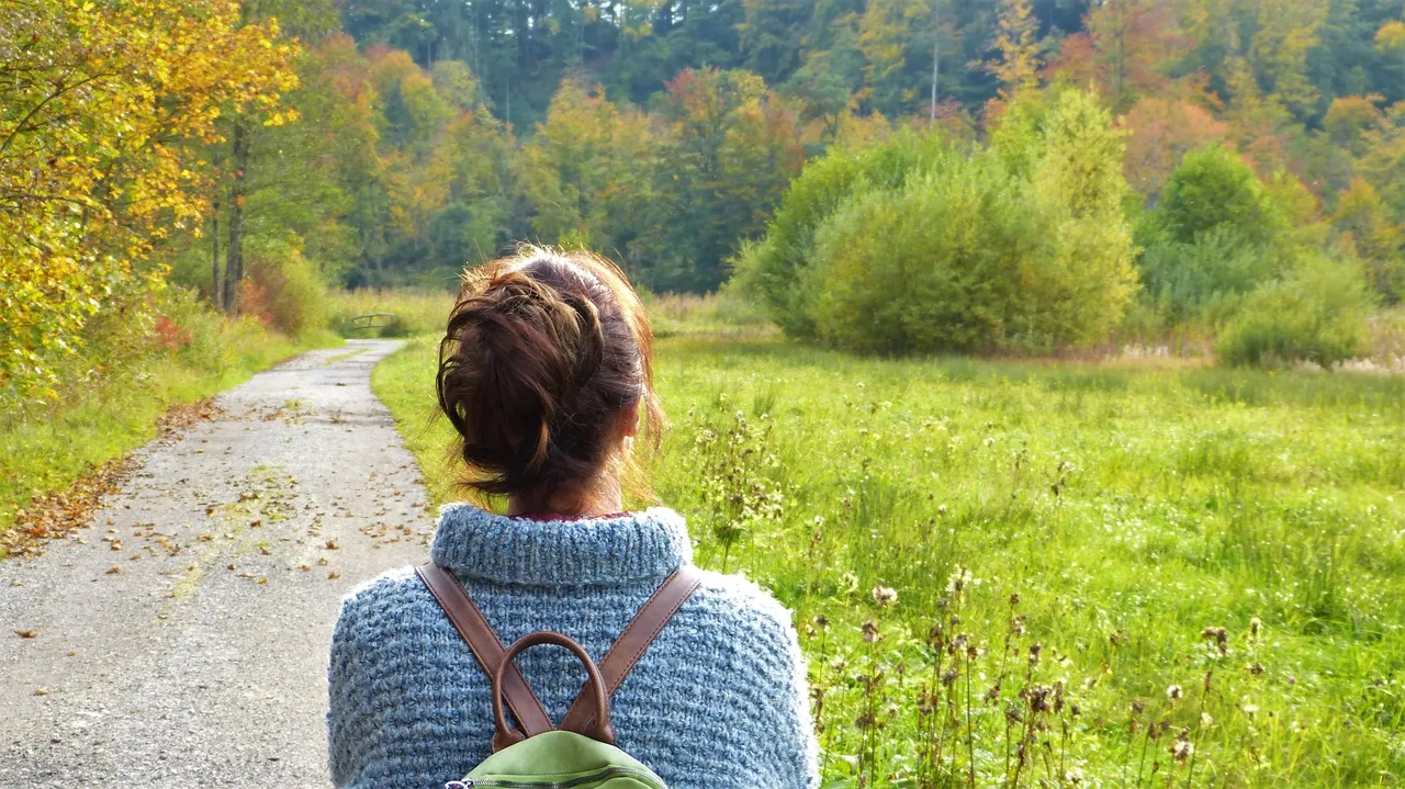  6 things to know about connection between forests and human health