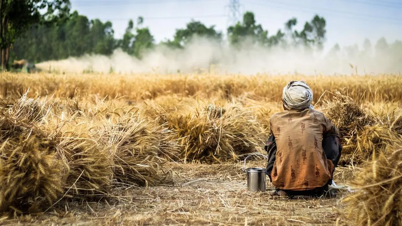  Heatwave reduces wheat production, affects economic growth in India