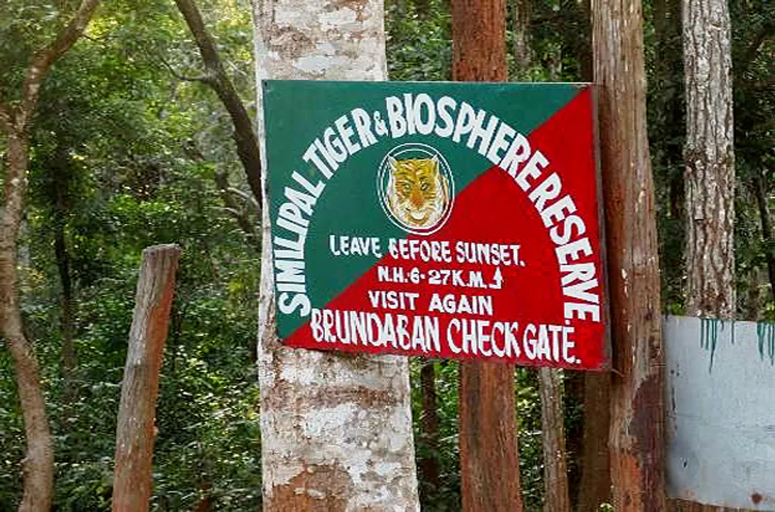  Similipal reserve to remain out of bounds for visitors from Oct 23