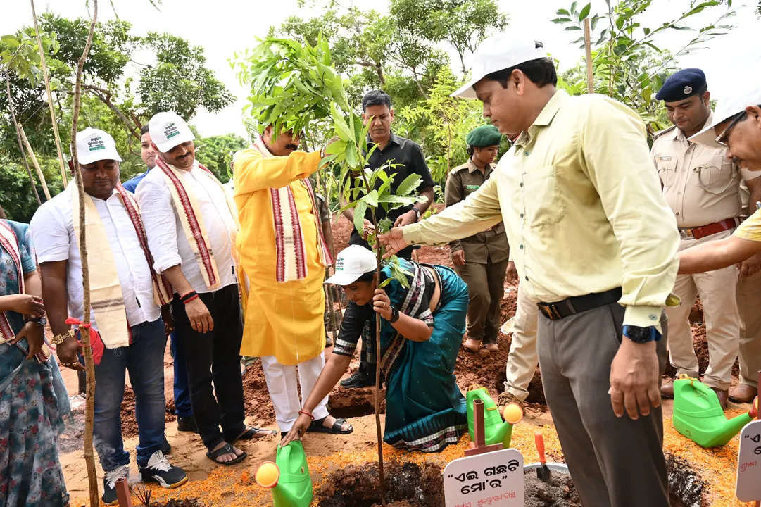  Miyawaki method to be used to create urban afforestation in Odisha capital