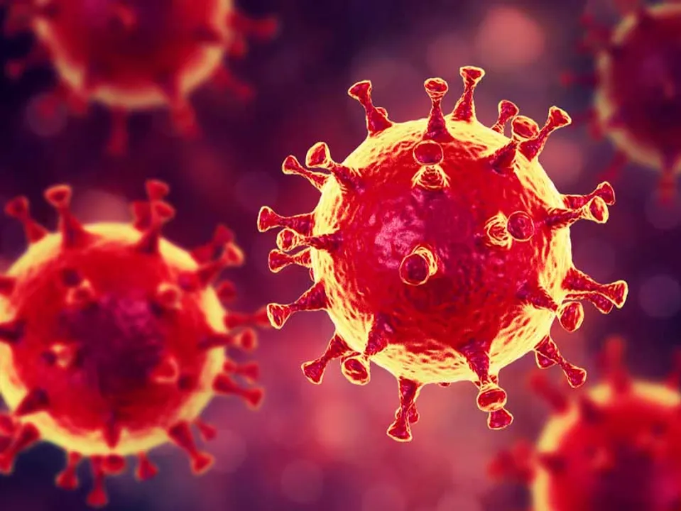  Russia accuses Ukrainian labs of carrying out experiments with samples of coronavirus in bats