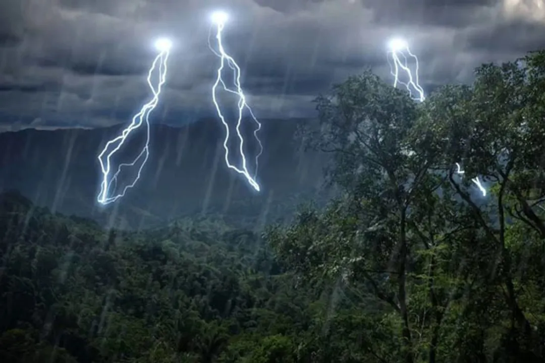 IMD predicts rain, thunderstorm in several Odisha districts till March 19