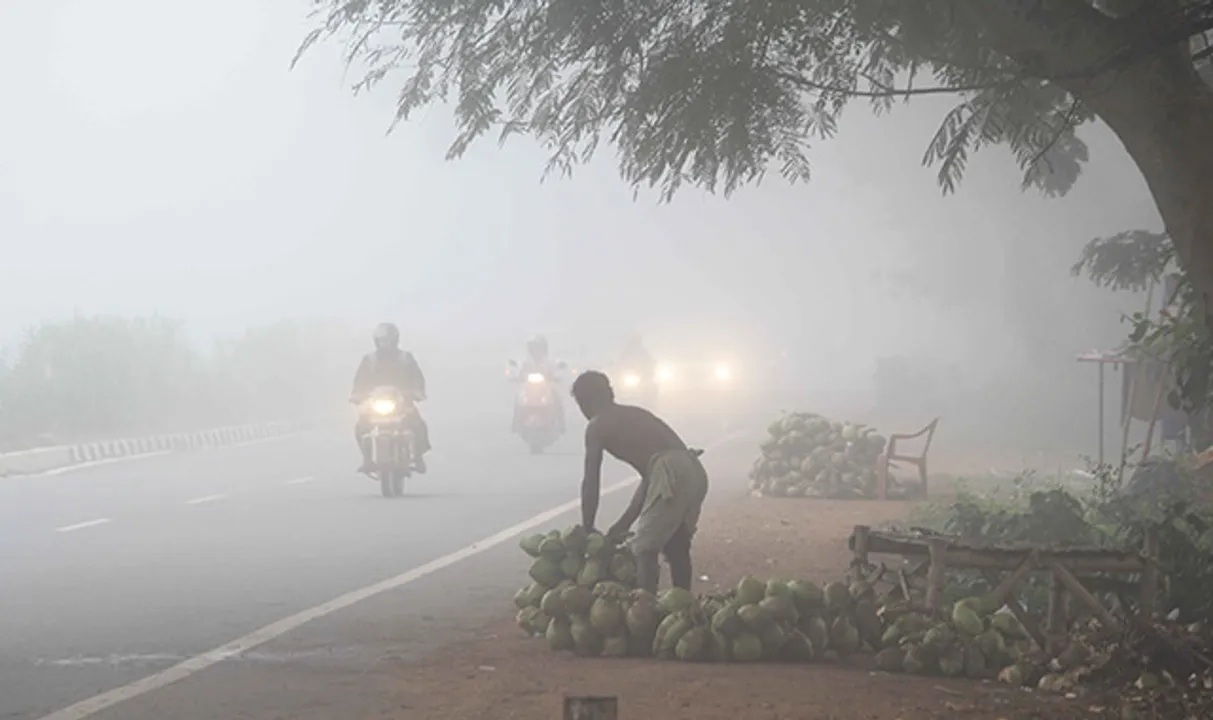  Dense fog warning issued for several Odisha districts including Khordha, Cuttack