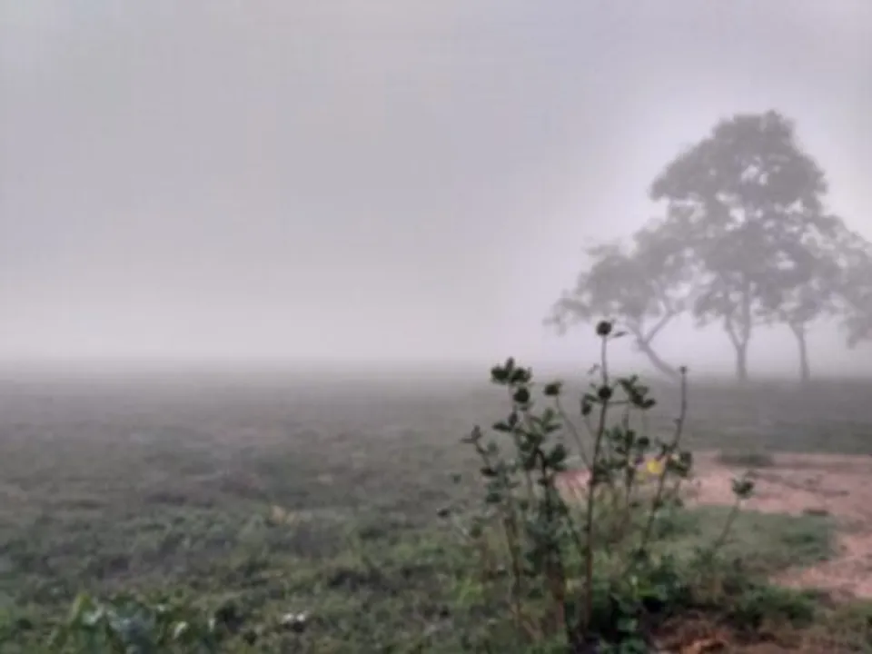  Mercury plummets in several parts of Odisha as G. Udayagiri shivers at 7.5 degree Celsius