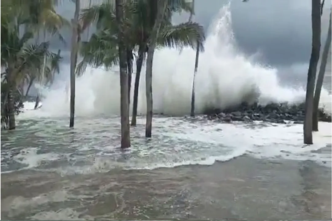  Here's IMD's latest update on Cyclone Sitrang and its impact on Odisha