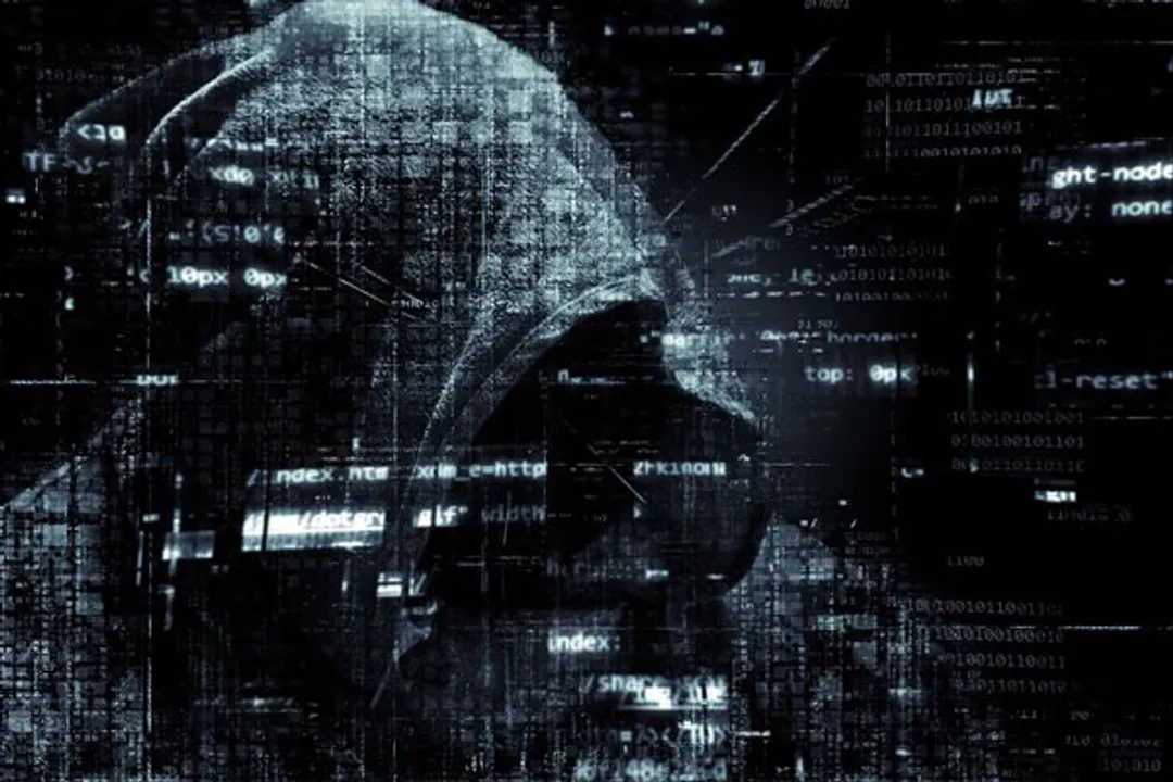  Hackers create fake websites, steal data around 'Black Friday' sales