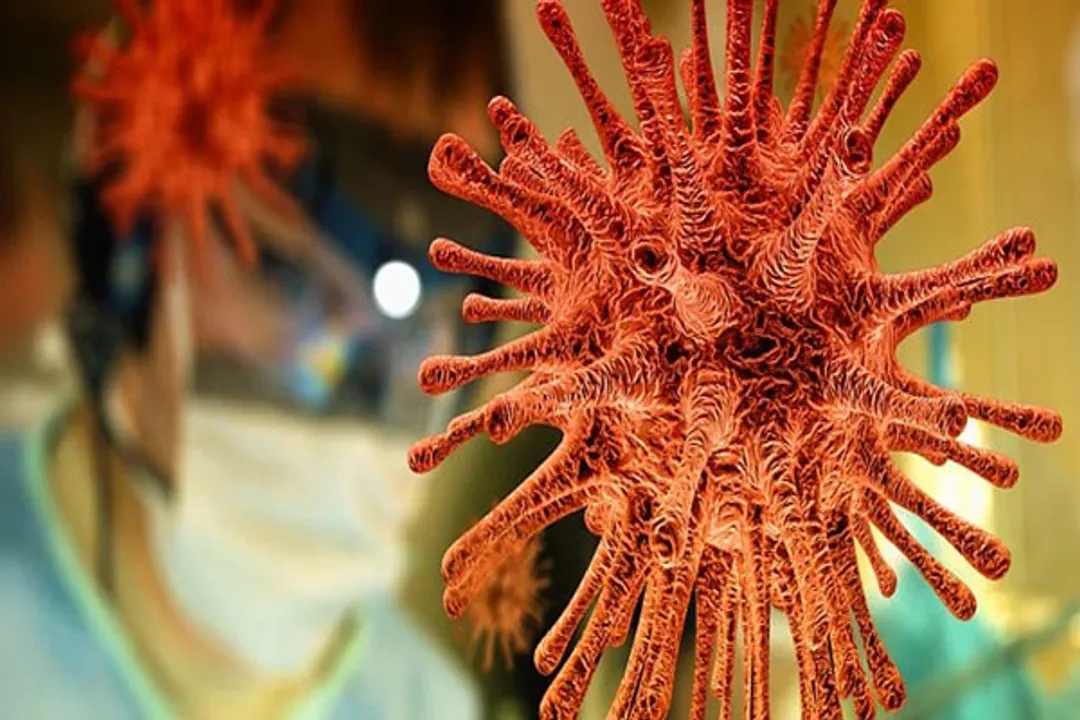  Nearly 30,000 died of Covid-19 daily since talks on vaccine IP began