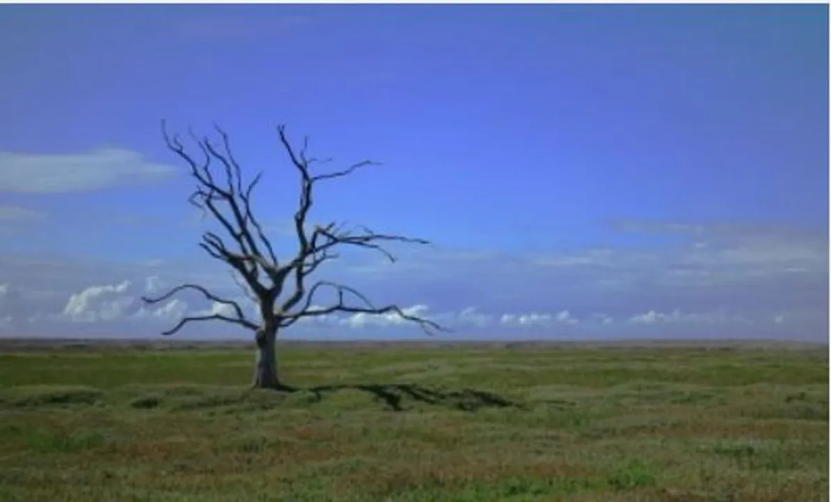  Increasing temperatures, climate change may cause more intense allergy seasons