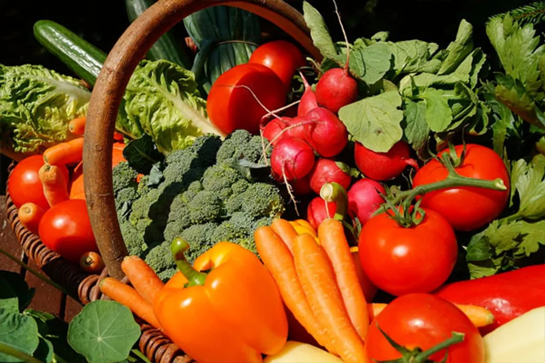  Happy World Vegetarian Day 2022 Wishes, Messages, Quotes, WhatsApp status, SMS