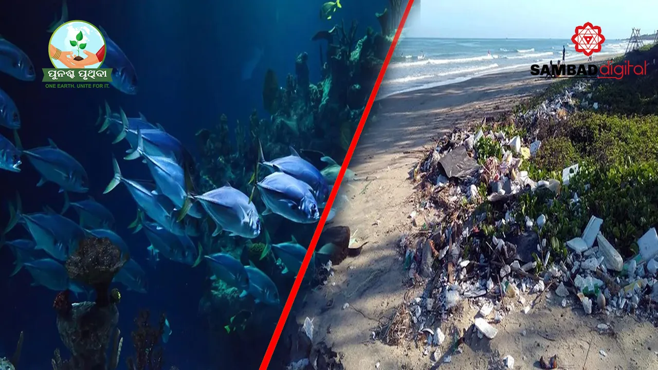  Plastics, like diamonds, last forever, warn celebs