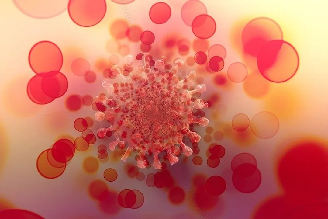  This is how Covid virus uses body's fat cells to replicate