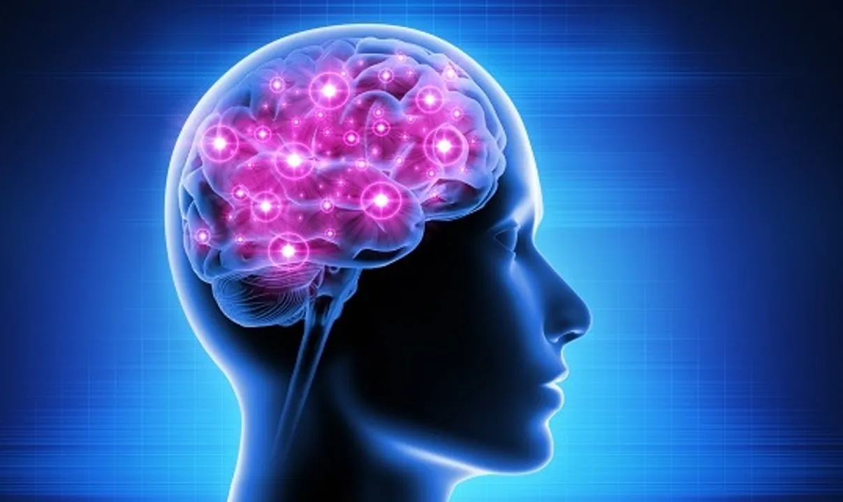  brighter brain.(Photo:Pixabay.com) 