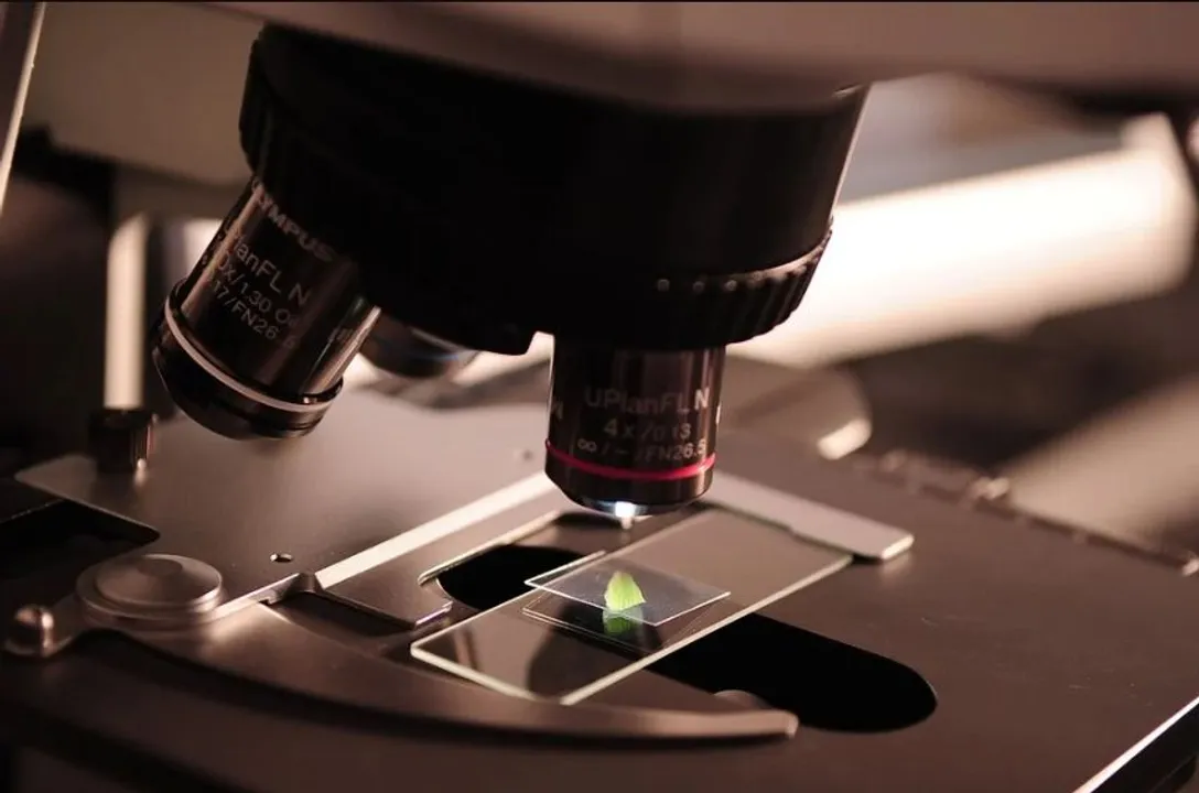  Russia shows documents of labs developing biological weapons in Ukraine funded by the US