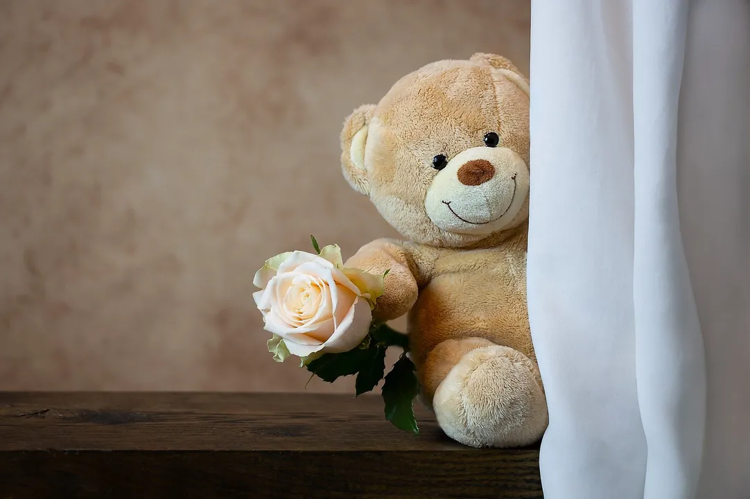  Happy Teddy Day 2022 Wishes, Quotes, Messages and WhatsApp status