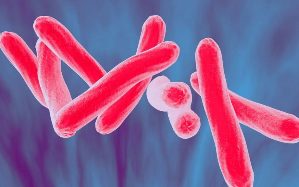  World TB Day 2022 Theme, History, Significance