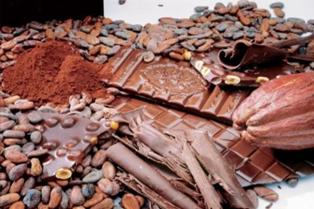  Kinder chocolates now linked to salmonella poisoning in 11 countries: WHO