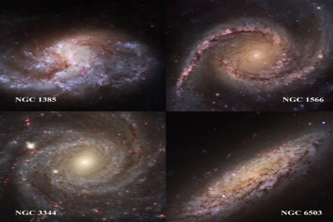  NASA's Chandra telescope locates medium-sized black holes