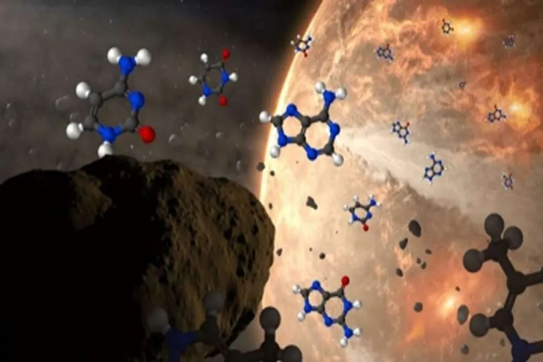  Study suggests asteroids may have brought key building blocks of DNA, RNA