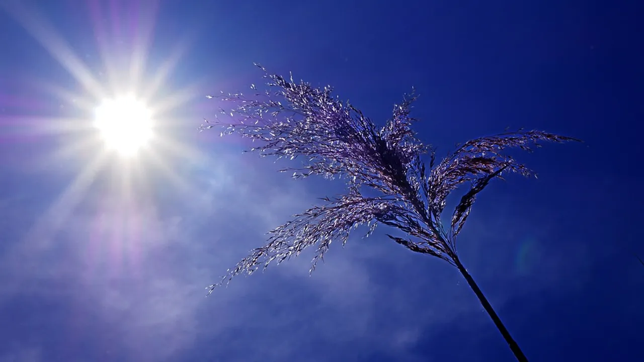  Why temperature shoots up in Bhubaneswar? Here's what Odisha weather scientist says