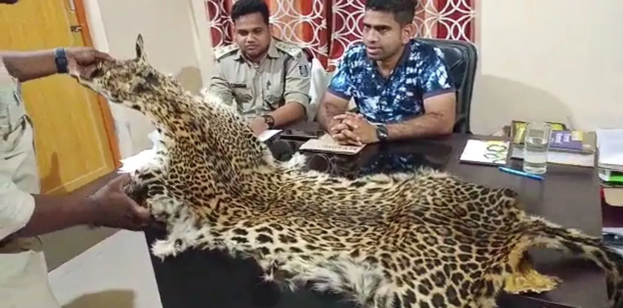  Odisha: One arrested for smuggling leopard skin