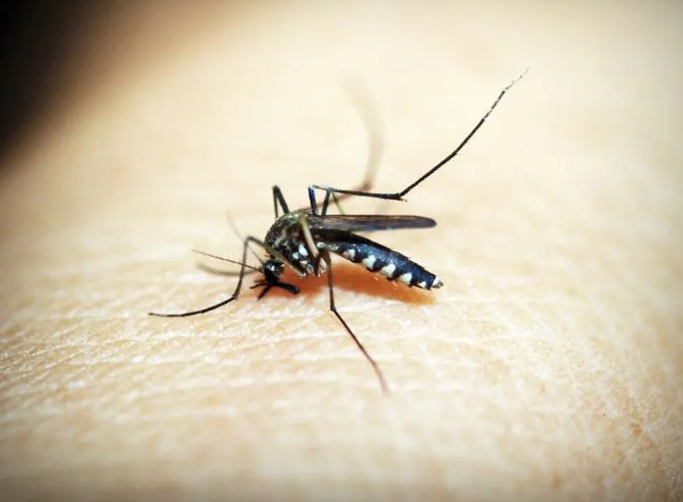  World Malaria Day 2023 Theme, History, Significance, Details