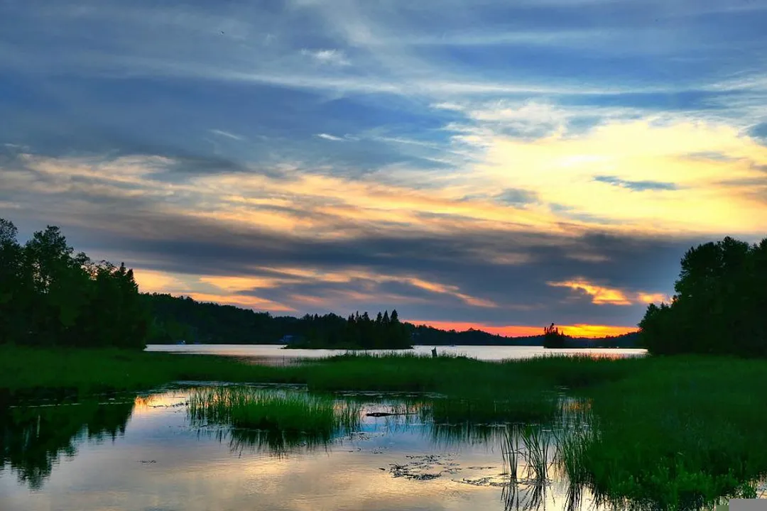  $43 million for developing nations to halt, reverse biodiversity loss