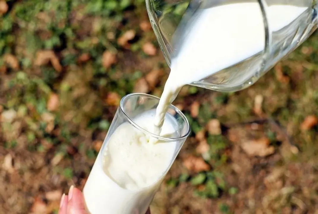  Happy World Milk Day 2022 Wishes, Messages, Greetings