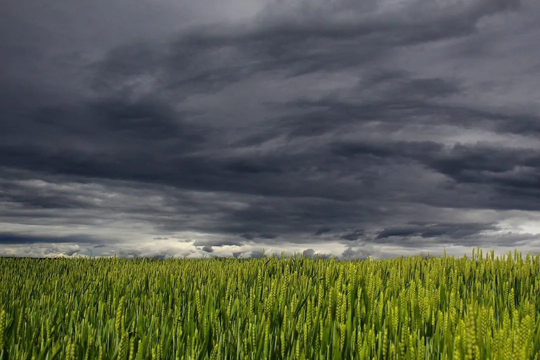  Hailstorm may lash these districts of Odisha today as IMD issues Orange Warning
