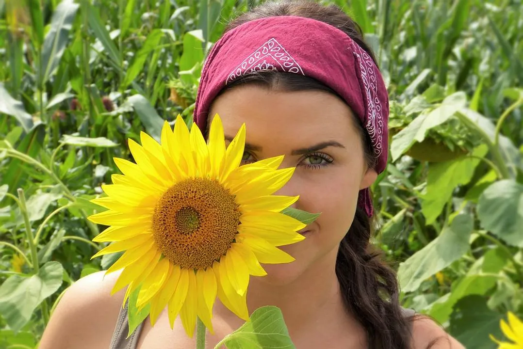  Ultraviolet rays harmful to both skin and eyes